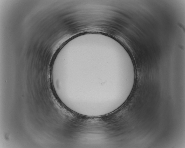 X0000100411133200806271438