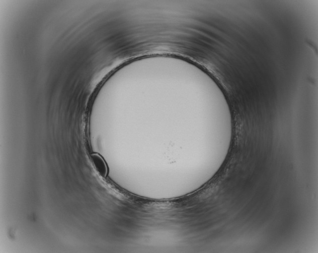 X0000100411134200806271438