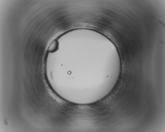 X0000100411136200806271438