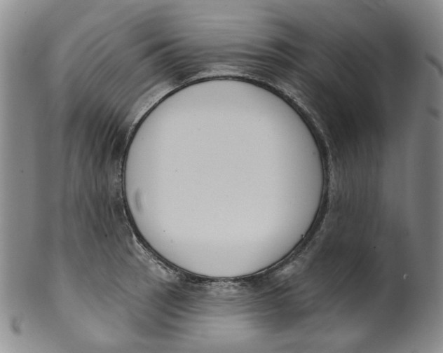 X0000100411137200806271438