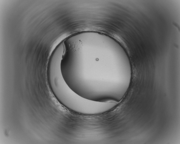 X0000100411138200806271438