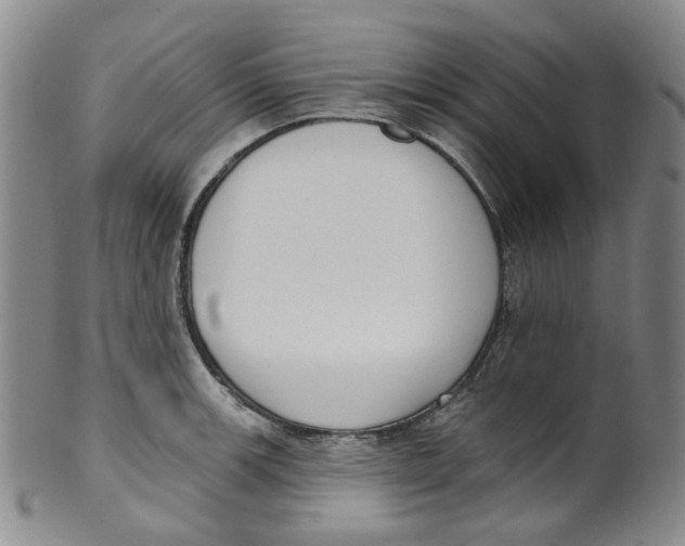 X0000100411139200806271438