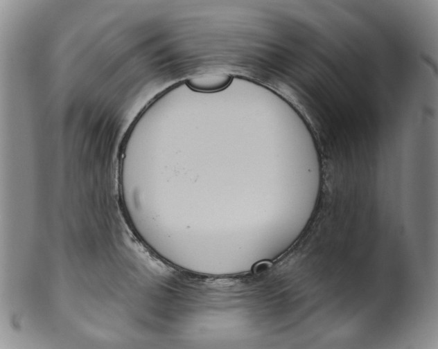 X0000100411140200806271438