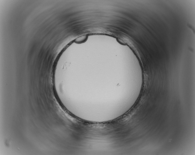 X0000100411141200806271438