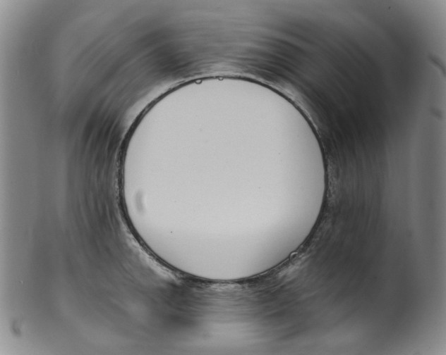 X0000100411142200806271438