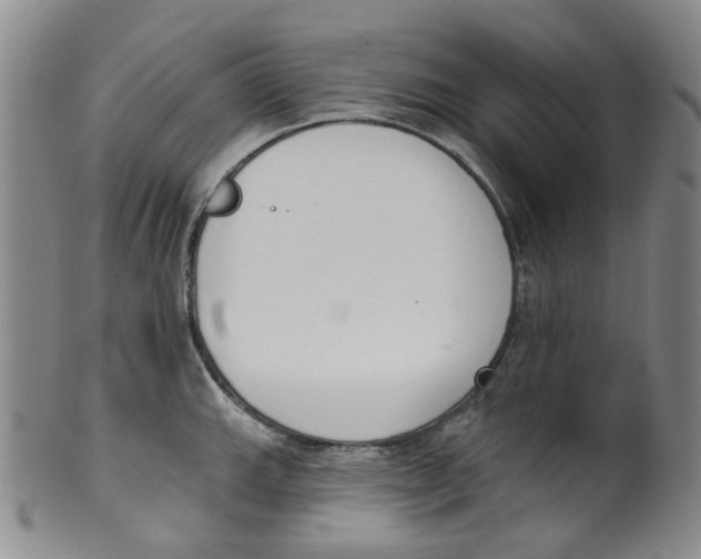 X0000100411143200806271438