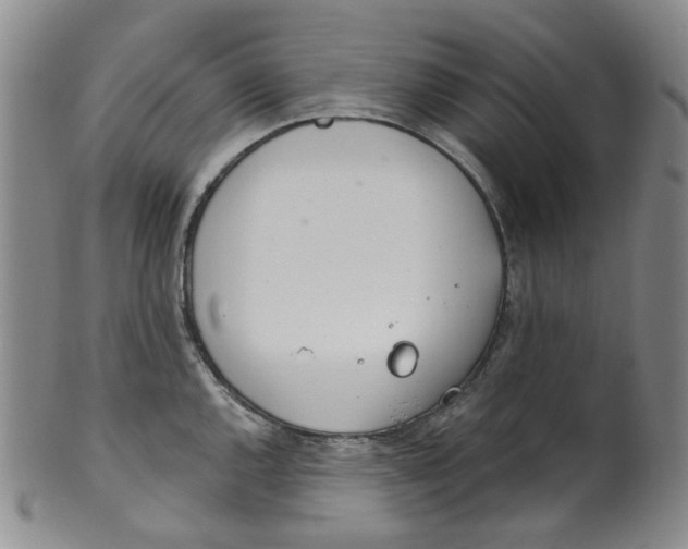 X0000100411144200806271438