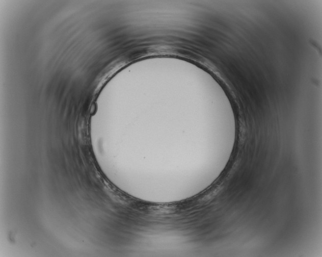 X0000100411145200806271438