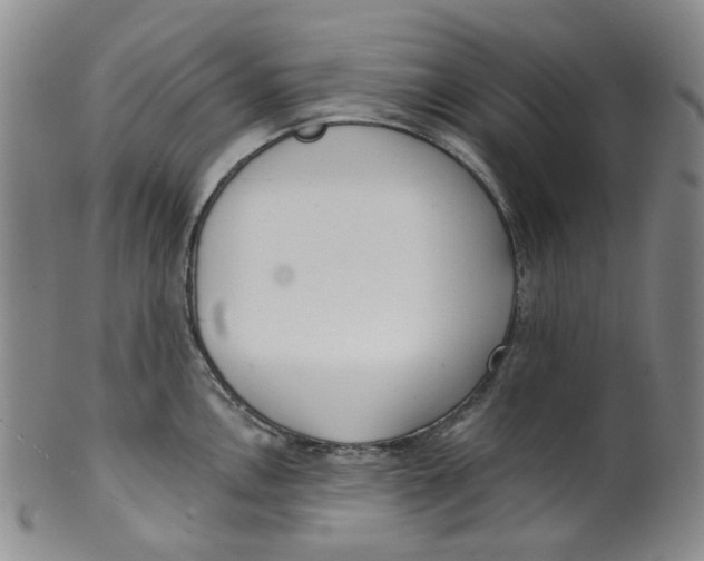 X0000100411146200806271438