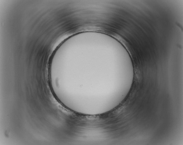 X0000100411147200806271438