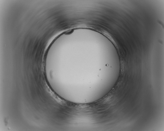 X0000100411148200806271438