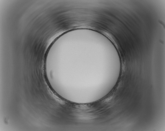 X0000100411149200806271438