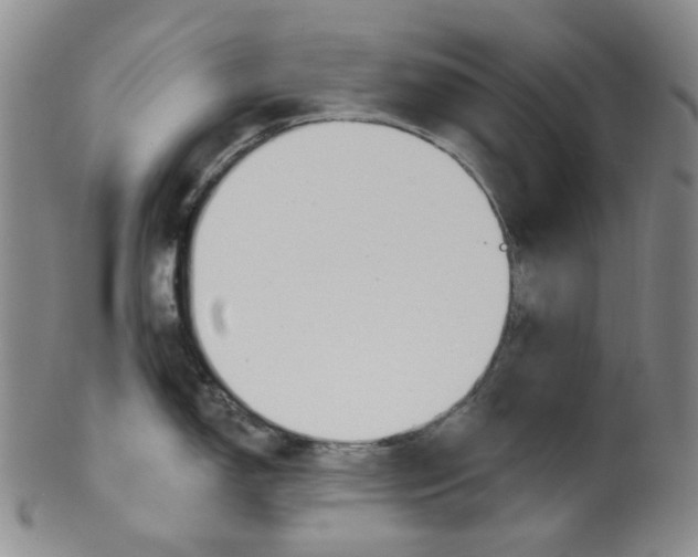 X0000100411150200806271438