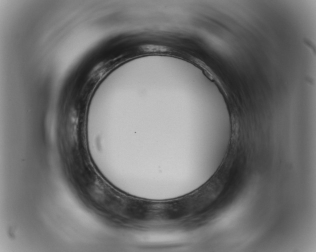 X0000100411151200806271438