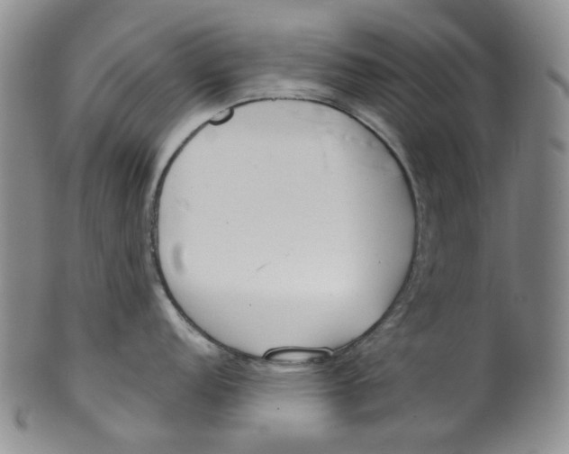 X0000100411152200806271438