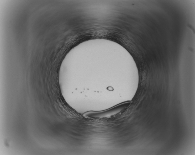 X0000100411153200806271437