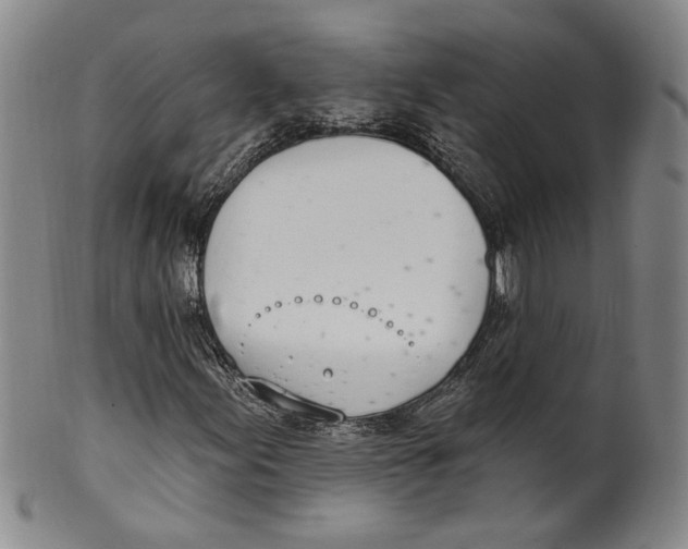 X0000100411155200806271437