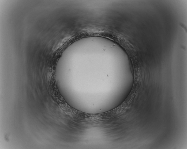 X0000100411157200806271437