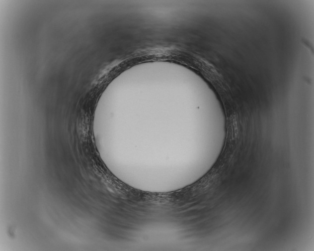 X0000100411158200806271437