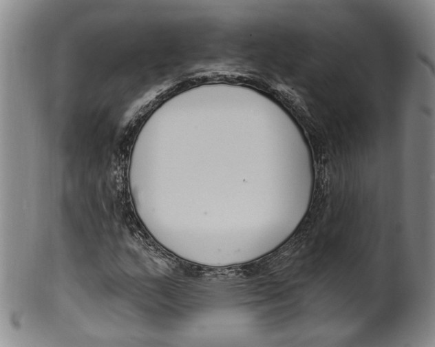 X0000100411159200806271437