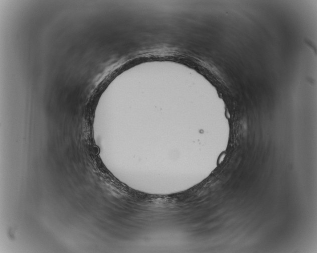 X0000100411160200806271437