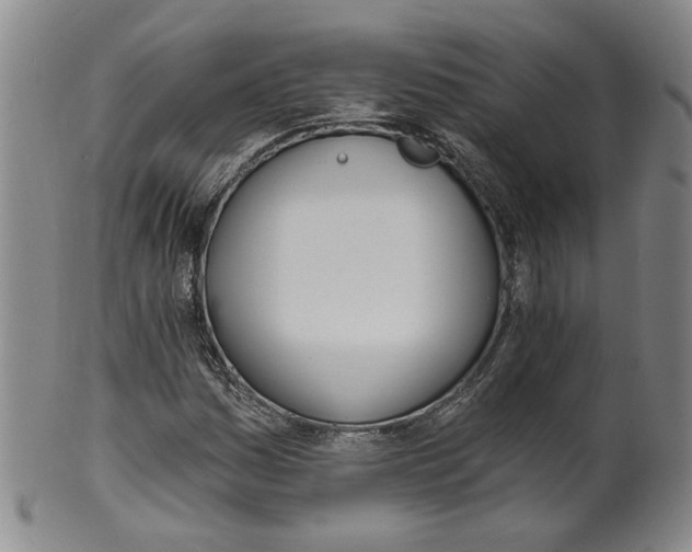 X0000100411161200806271437