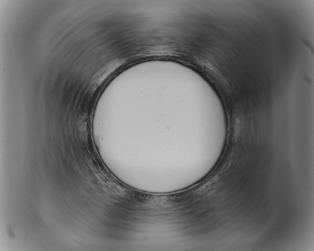 X0000100411162200806271437