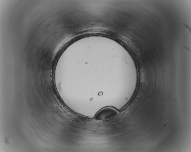 X0000100411164200806271437