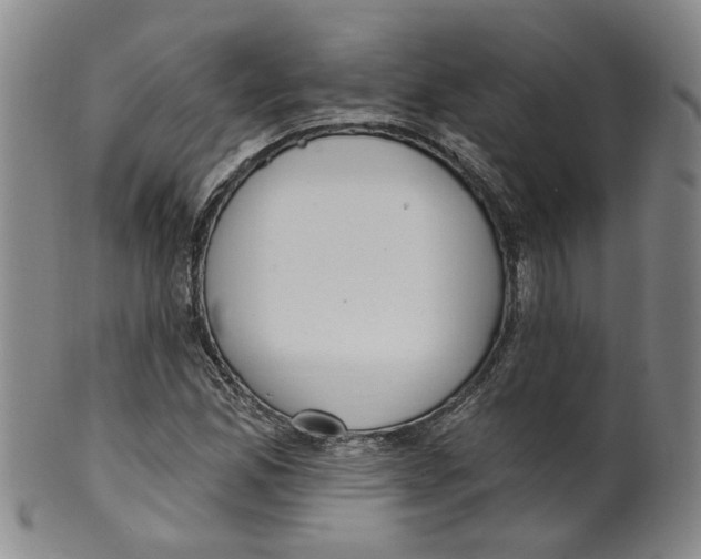 X0000100411165200806271437