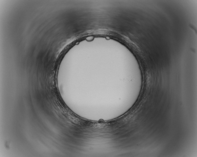 X0000100411166200806271437