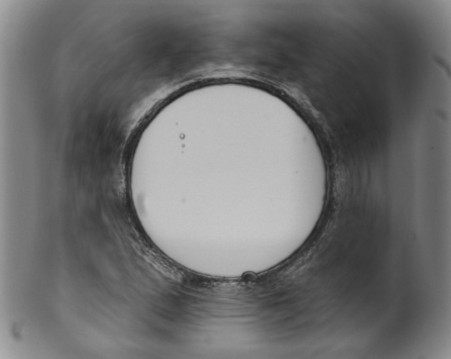 X0000100411167200806271437