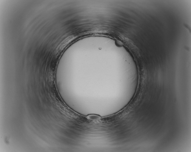 X0000100411169200806271437