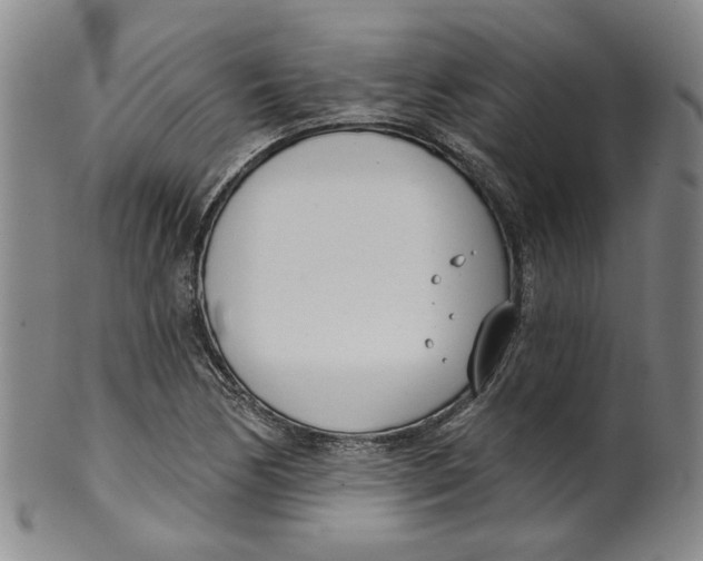 X0000100411170200806271437