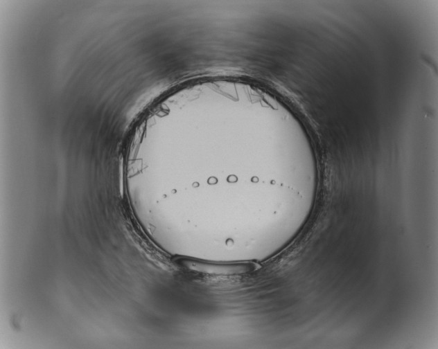 X0000100411171200806271437