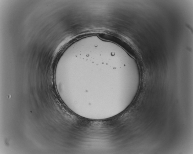 X0000100411172200806271437