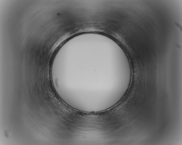 X0000100411173200806271437