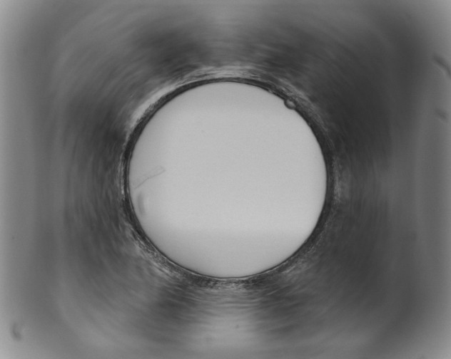 X0000100411174200806271437