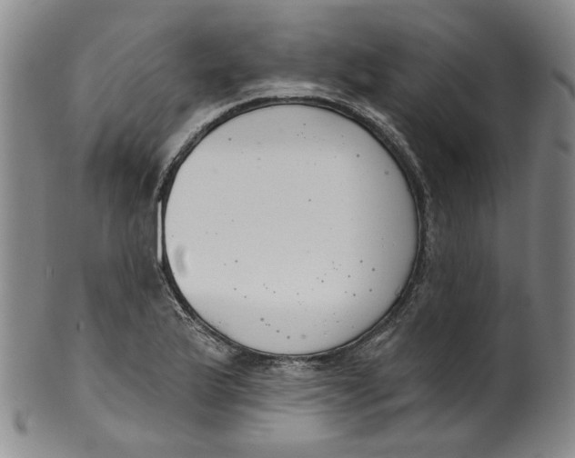 X0000100411175200806271437