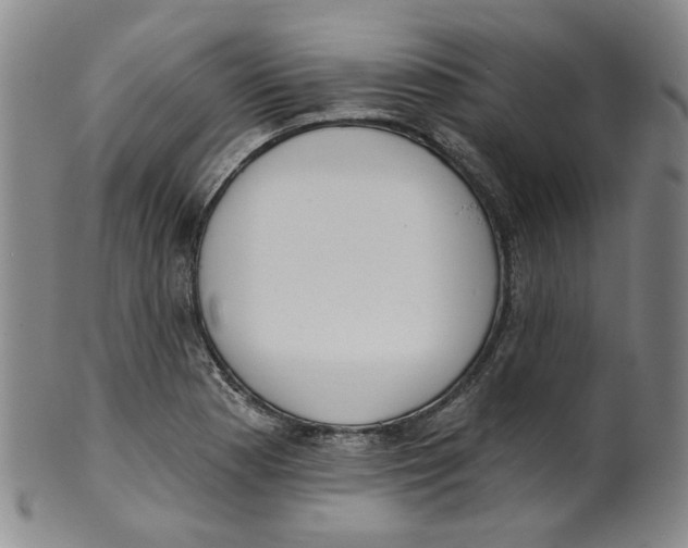 X0000100411177200806271437