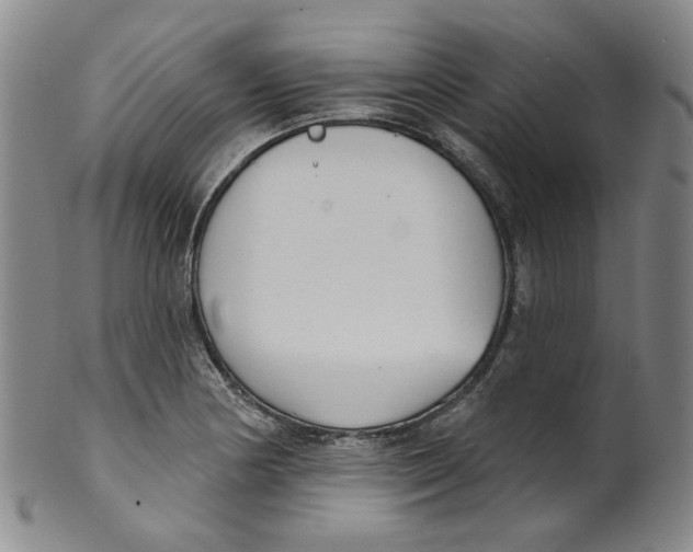 X0000100411178200806271437