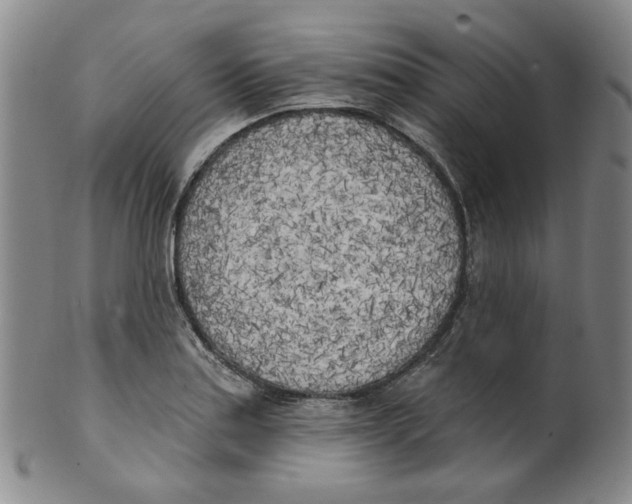 X0000100411179200806271437