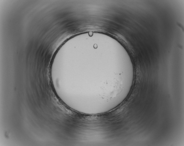 X0000100411182200806271437