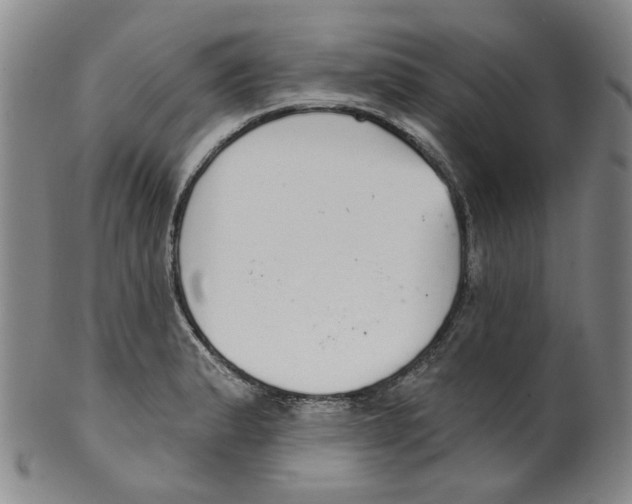 X0000100411183200806271437