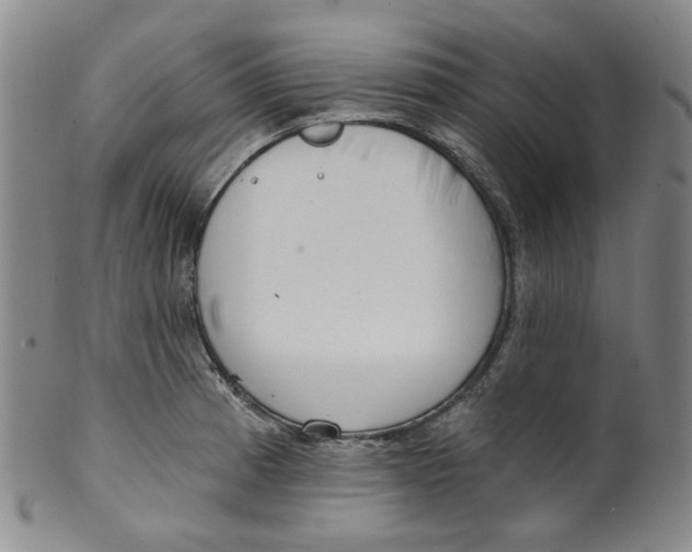 X0000100411185200806271437