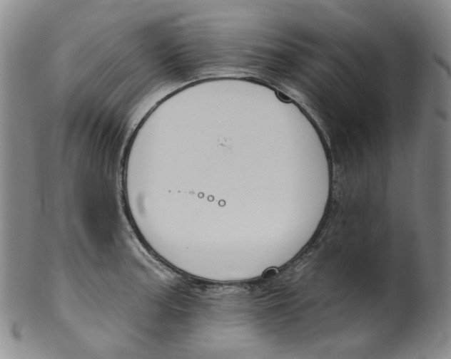 X0000100411187200806271436