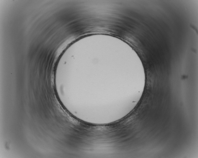 X0000100411188200806271436