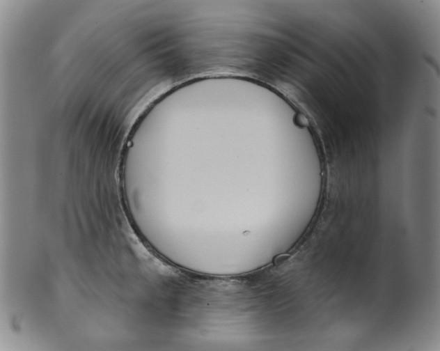 X0000100411189200806271436