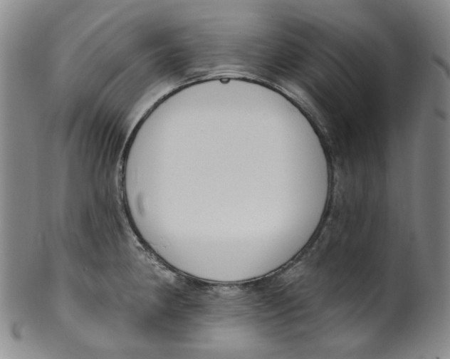 X0000100411190200806271436