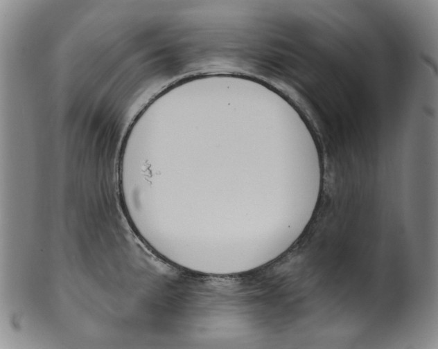 X0000100411191200806271436