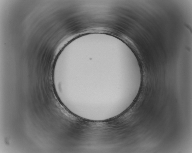 X0000100411192200806271436